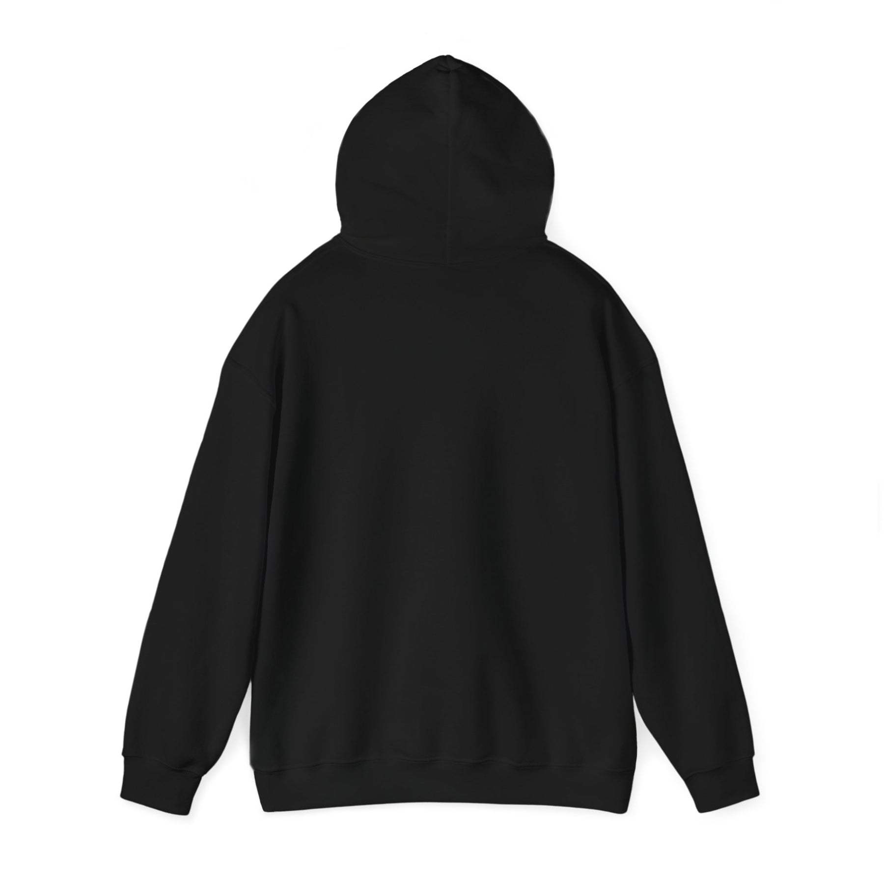 Healing 824 Hooded Sweatshirt