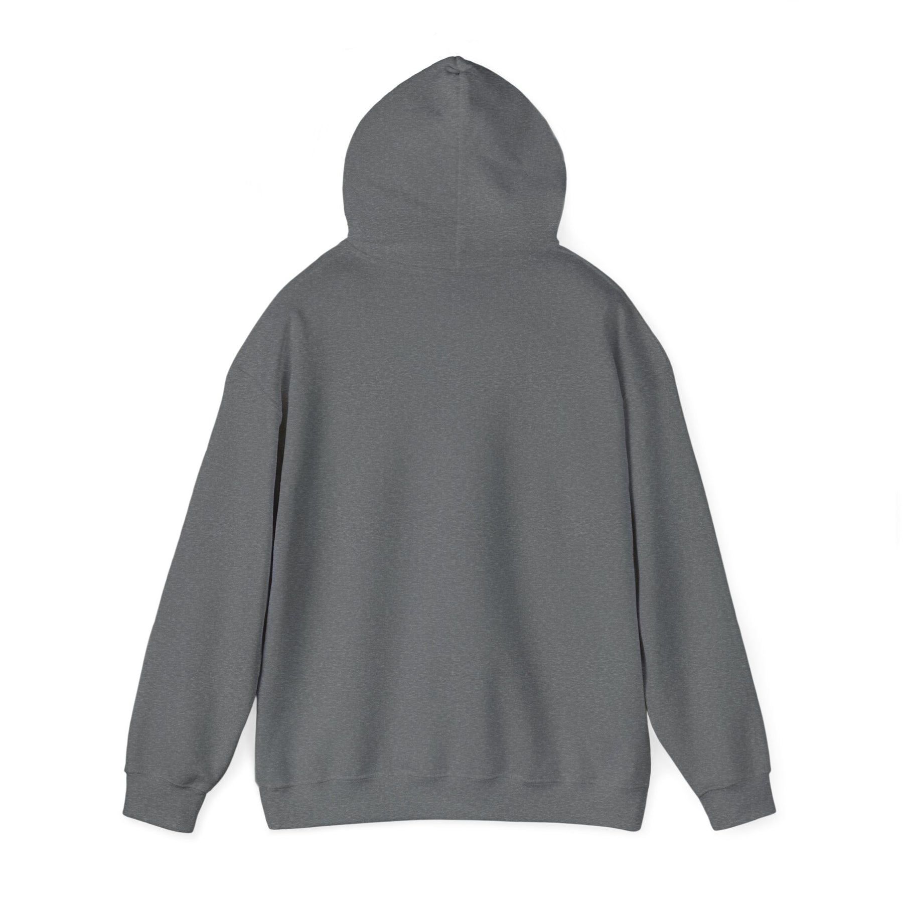 Healing 824 Hooded Sweatshirt