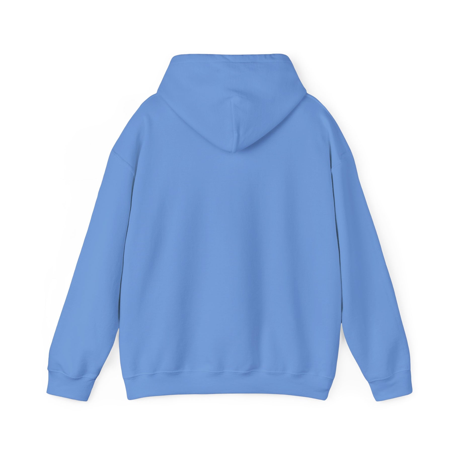 Healing 824 Hooded Sweatshirt