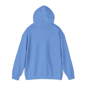 Healing 824 Hooded Sweatshirt