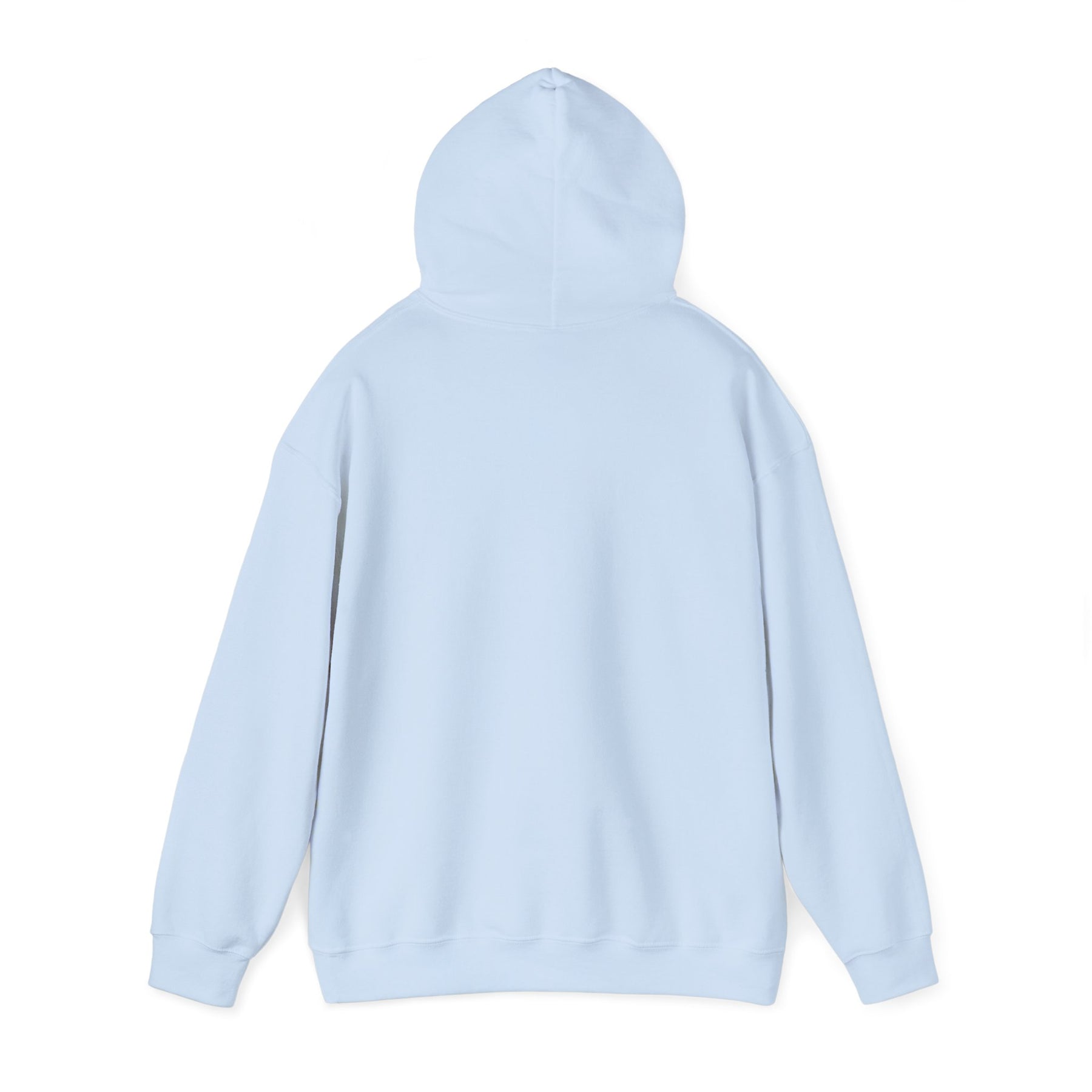 Healing 824 Hooded Sweatshirt