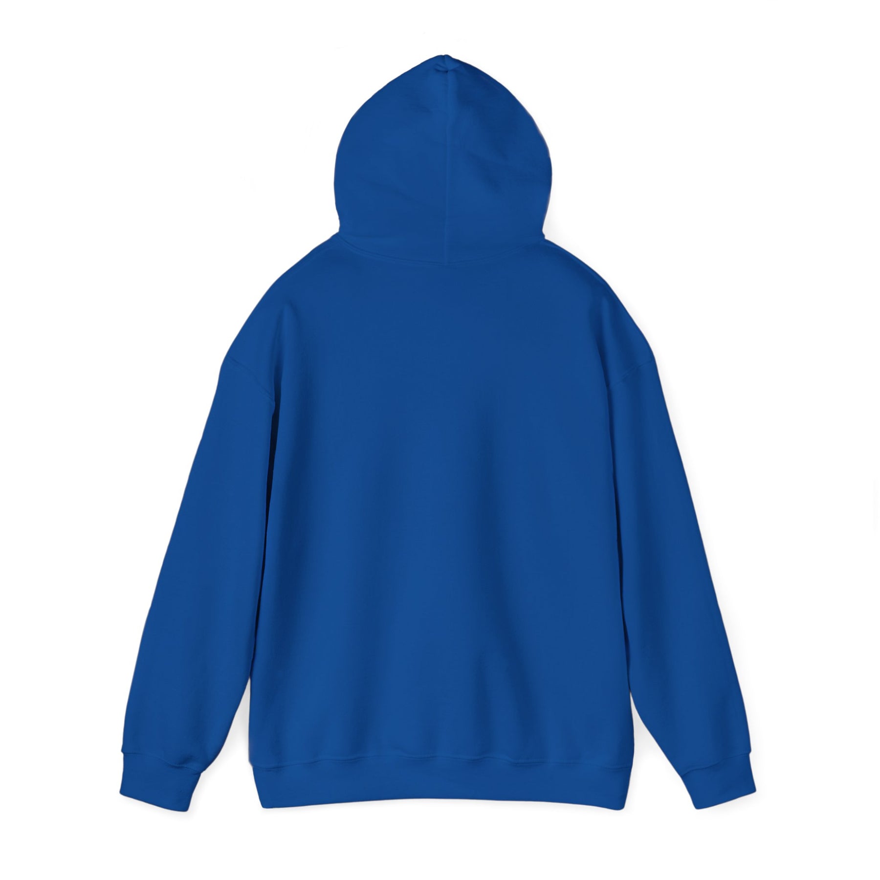 Healing 824 Hooded Sweatshirt