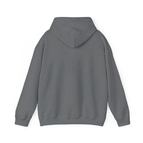 Healing 824 Hooded Sweatshirt